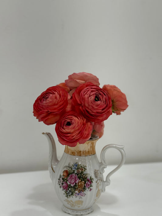 Ranunculus Coral Bunch