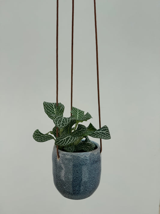 Hanging Jean Pot with Plant