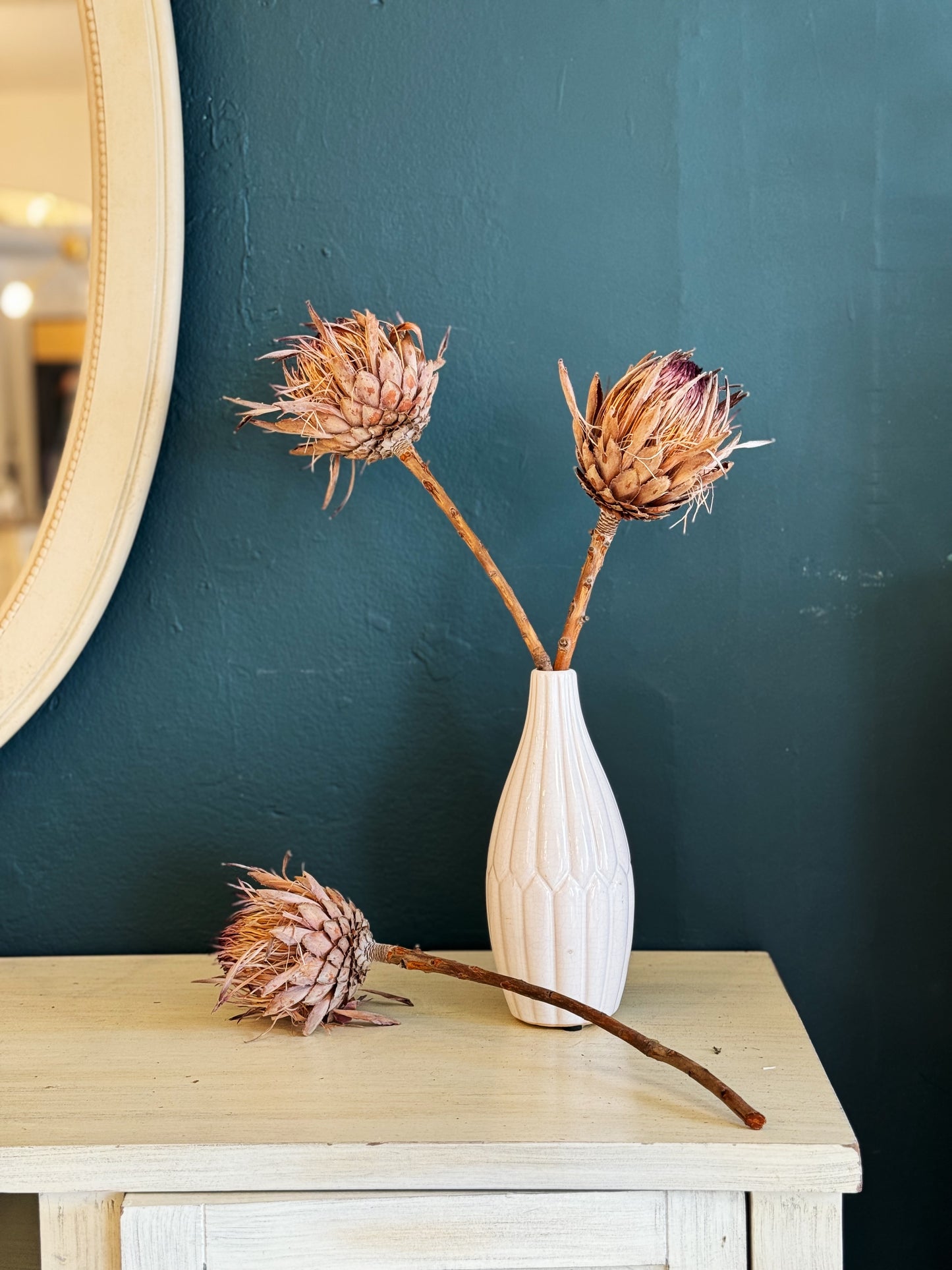 Queen Protea Dried