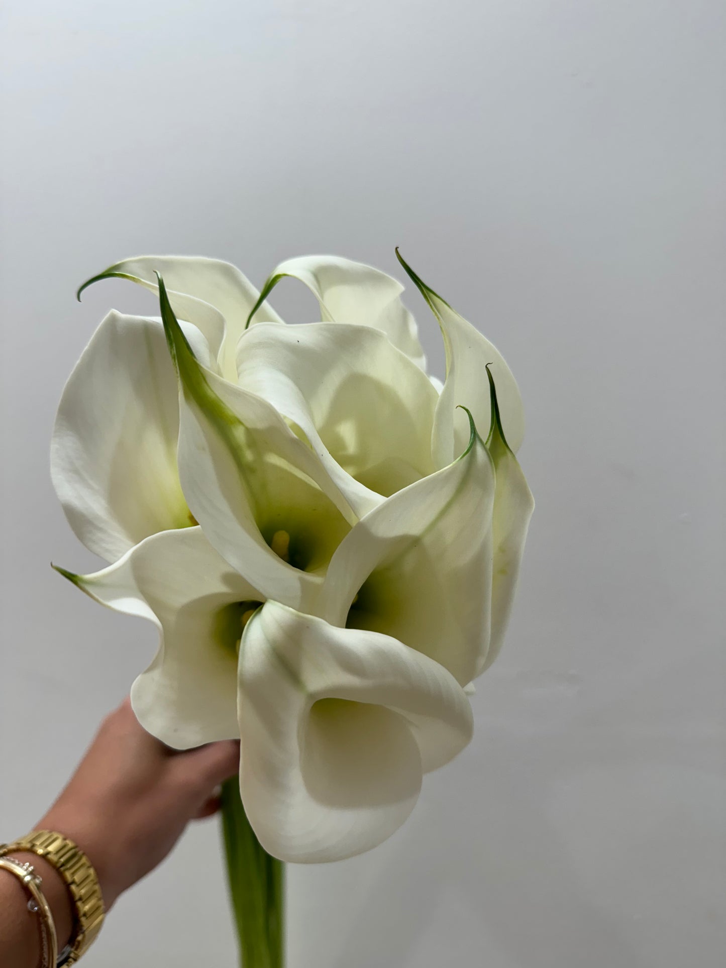 Calla Lilies Bunch