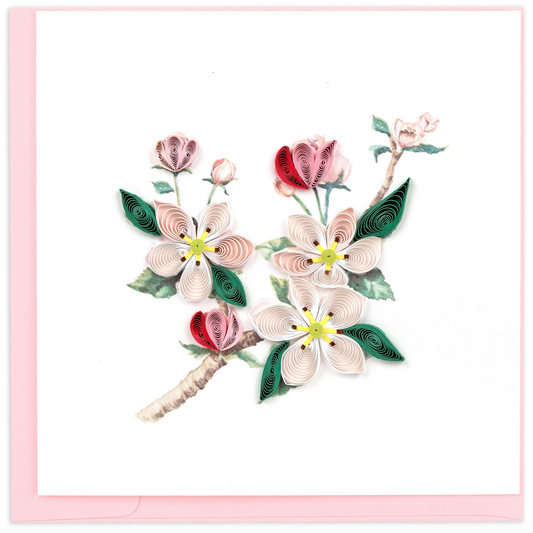 Apple Blossom | BL1456