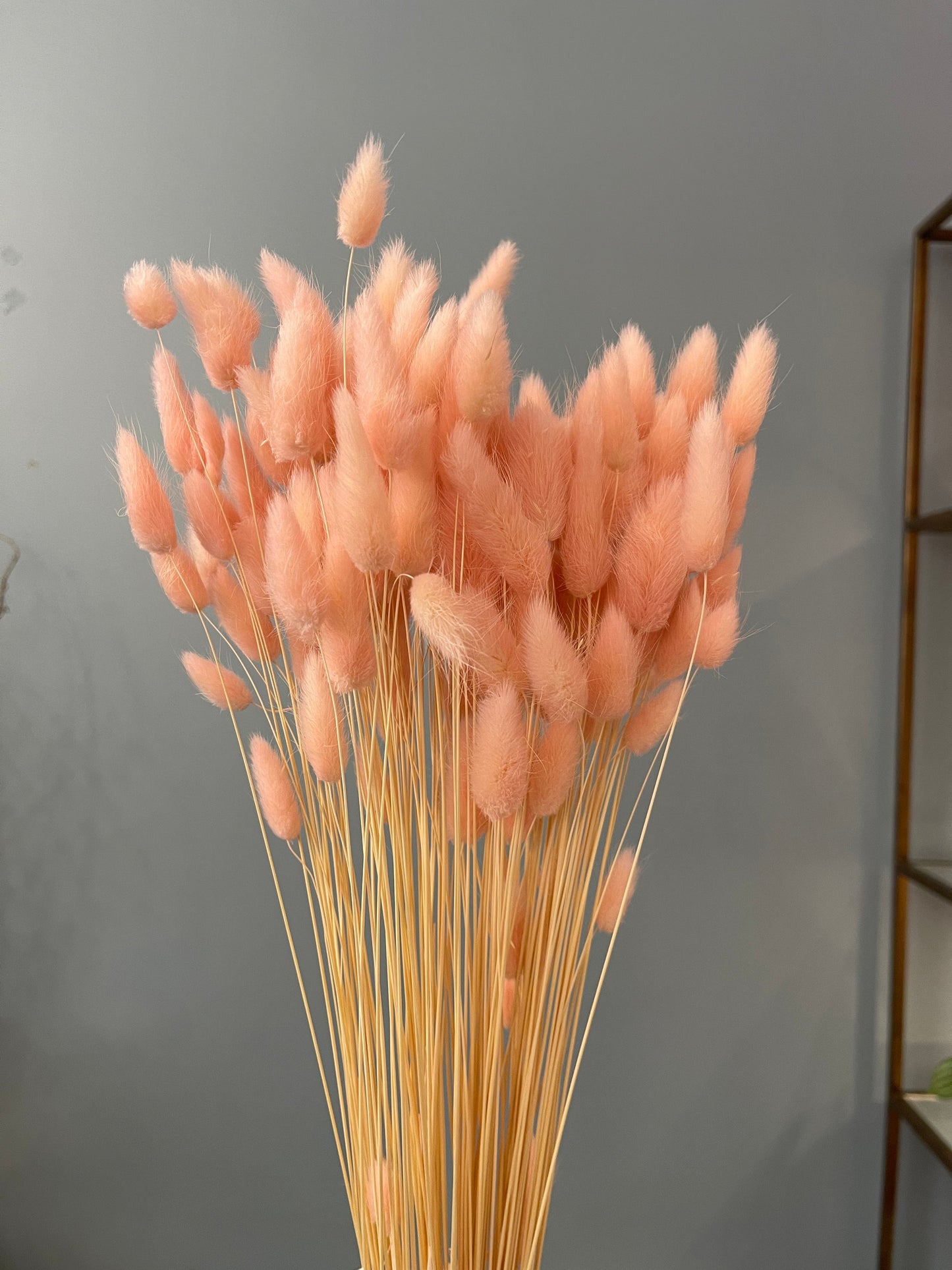 Bunny Tail Bunch Pink