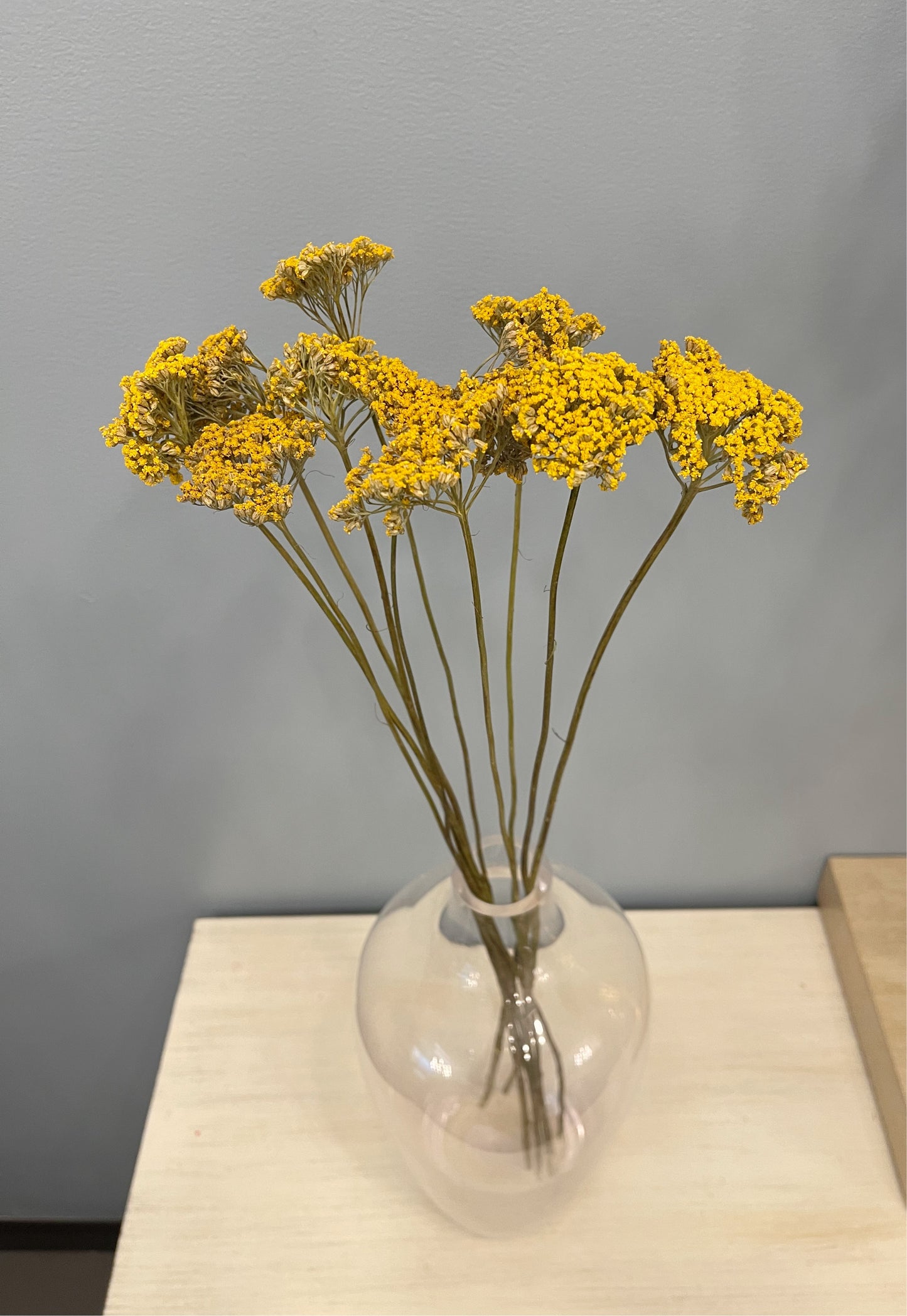 Yarrow Bunch Dried